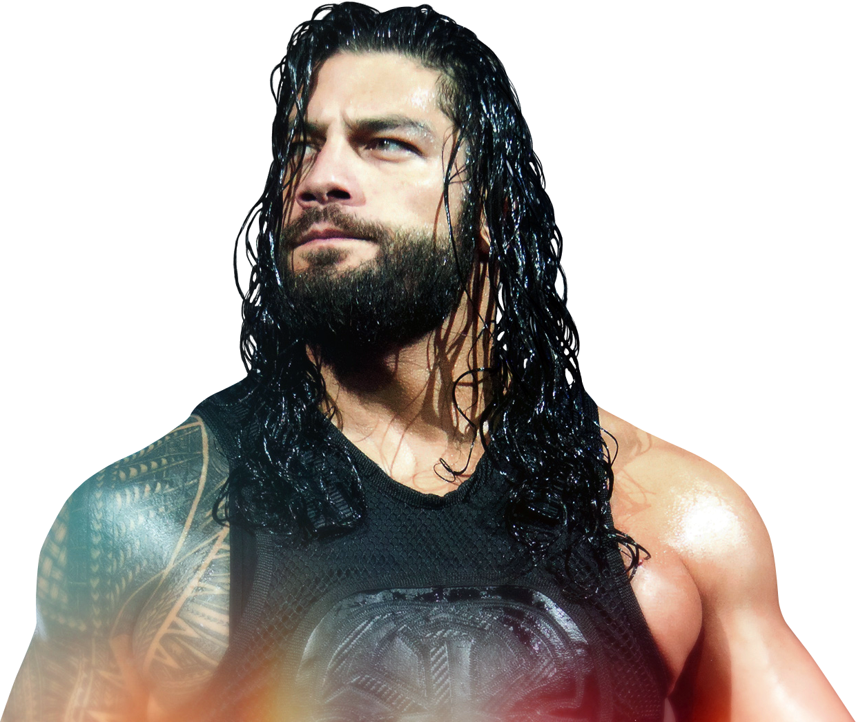 Download The Shield Wwe Photos Roman Reigns Vs Mcgregor Png