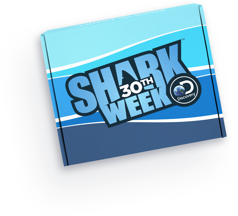 Shark Week 6-pack - Men's K.bell Crew Socks (776x704), Png Download