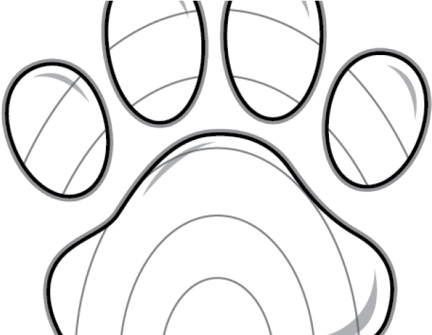 Cruelty-free (640x480), Png Download