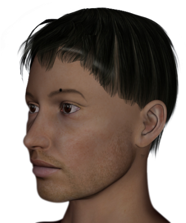 Mole In The Eyebrows - Asian Triangle Eyebrows (450x450), Png Download