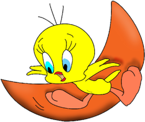 Tweety Bird Image - Tweety Bird Transparent Background (480x480), Png Download