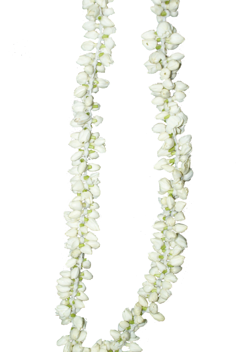 Untill I Saw Beside Those Jasmine Buds, Her Name Again - Jasmine Flower In Malayalam (778x1162), Png Download