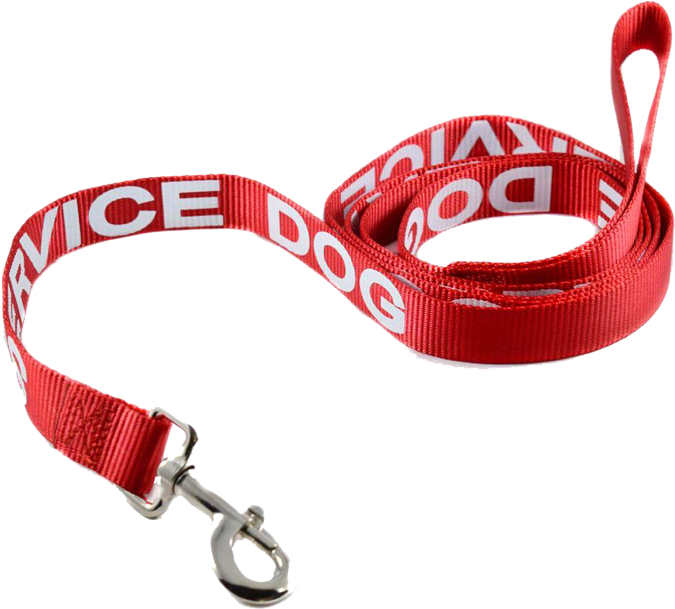 Service Dog Leash - Service Dog (1010x1010), Png Download