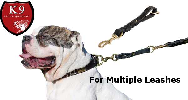 Short Pull Tab Leash - Short Leash Png (600x320), Png Download