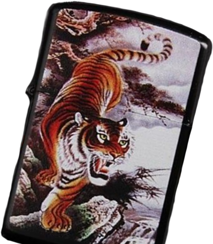 Roaring Tiger Design - Roar (480x480), Png Download