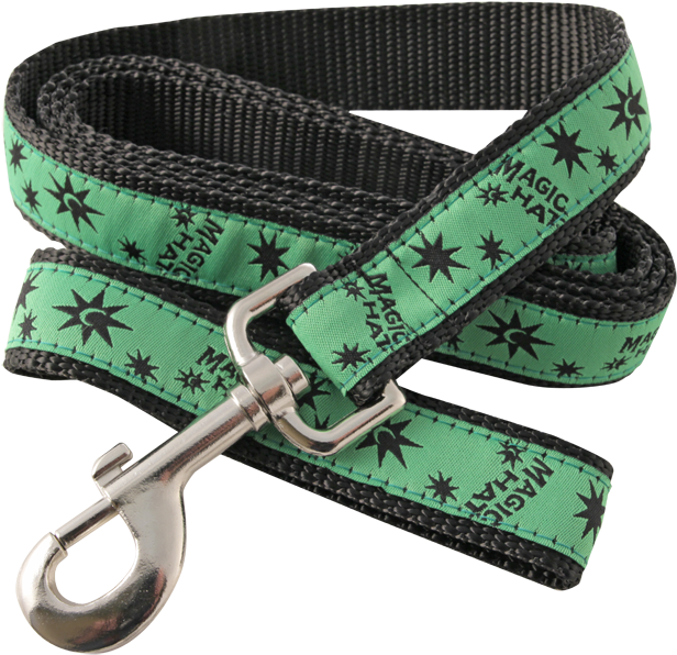 Dog Leash Photo - Dog (700x700), Png Download