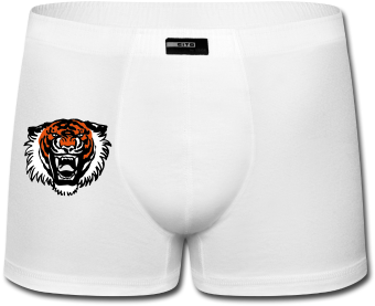 Roaring Tiger By Cherful Madness Suitable For Plot - Kelaminbesar (378x378), Png Download