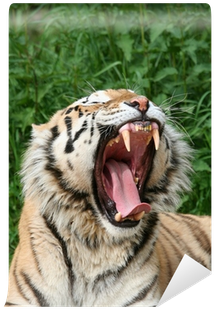 Roar (400x400), Png Download