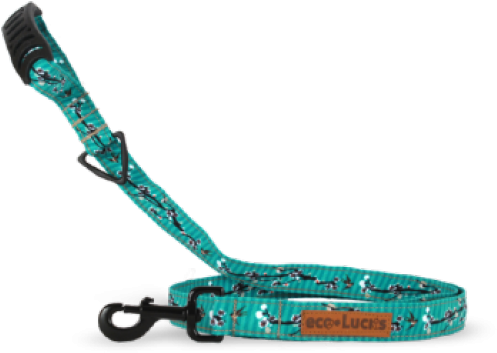 Dublin Dog Leash Eco-lucks Honk Kong Teal Length 5 - Montauk (500x500), Png Download