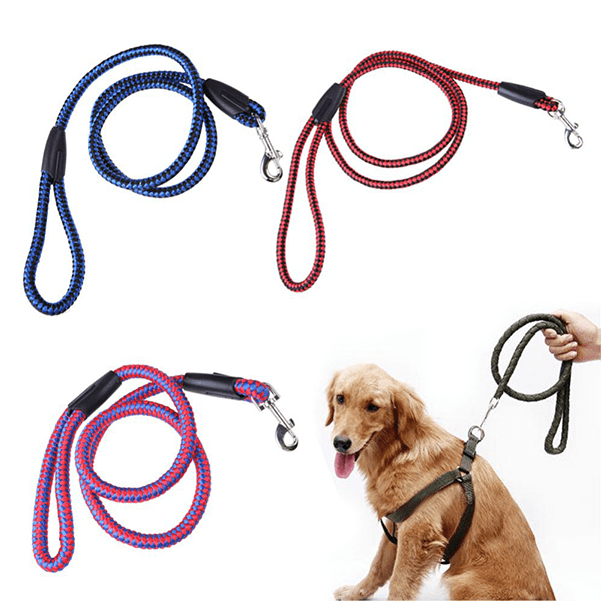 Round Nylon Dog Leash 5 Feet - [cross] ペット 犬 中型犬 大型犬 ハーネス リード セット 胴輪 頑丈 ロープ 介護 (ブルー,l) (800x600), Png Download