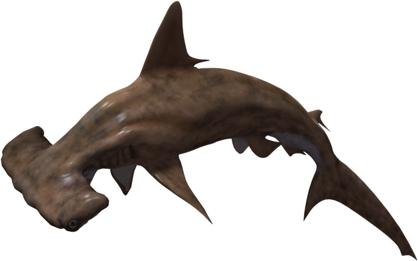Free Icons Png - Hammerhead Shark No Background (1024x639), Png Download