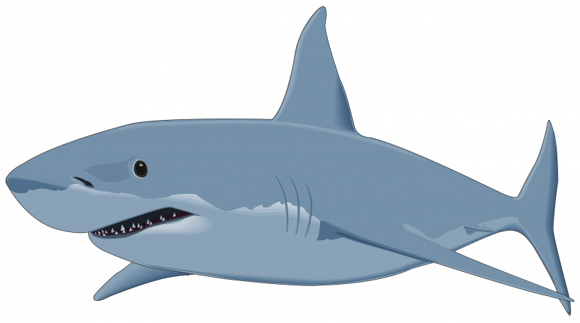 Shark With Transparent Background (817x455), Png Download