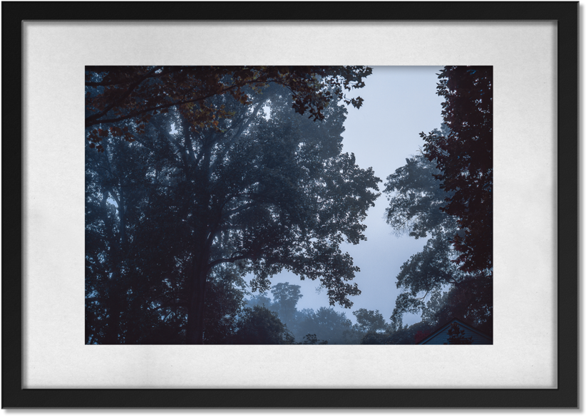 Morning (1000x1000), Png Download