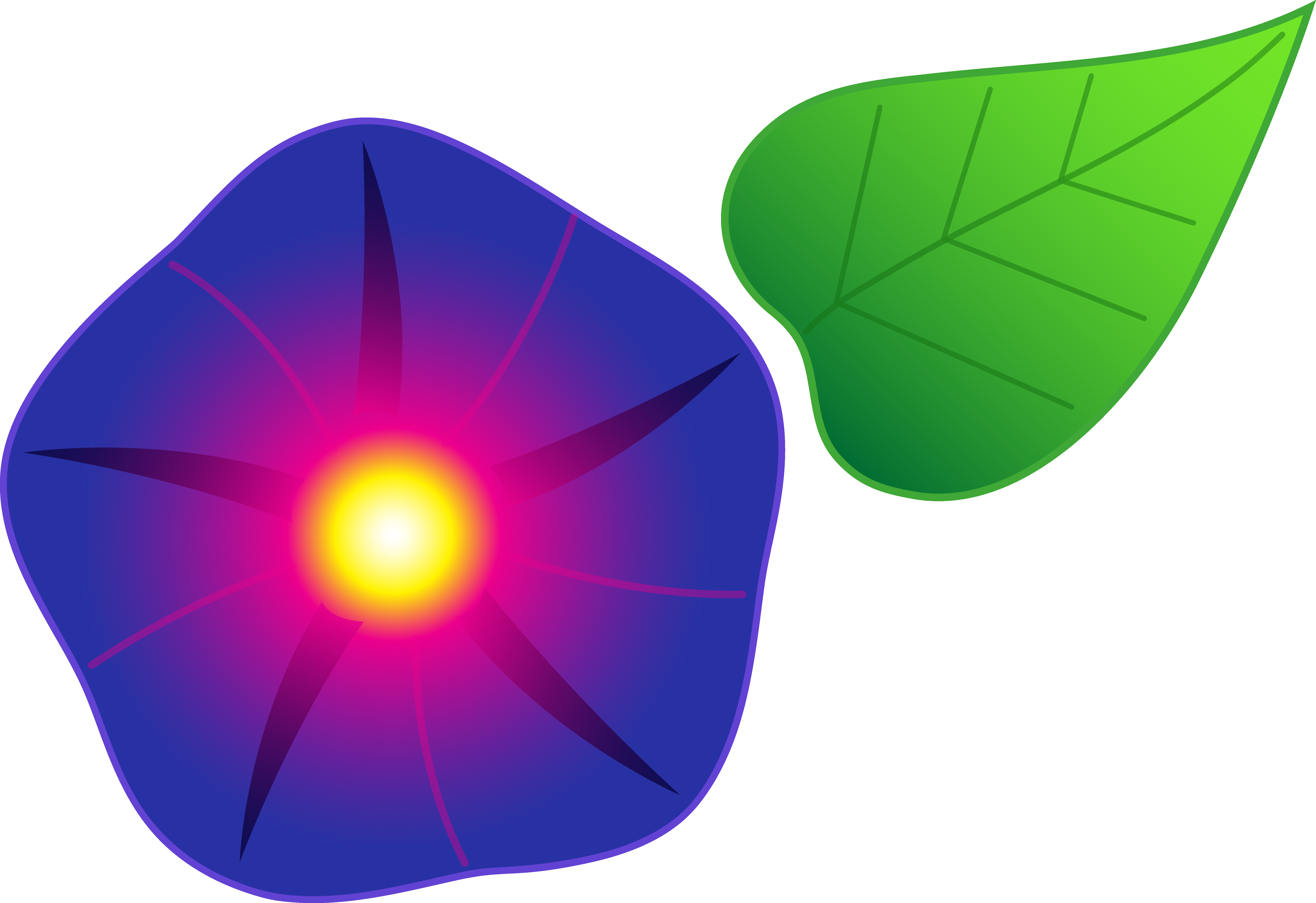 Morning Glory Flower Clipart (7275x4994), Png Download