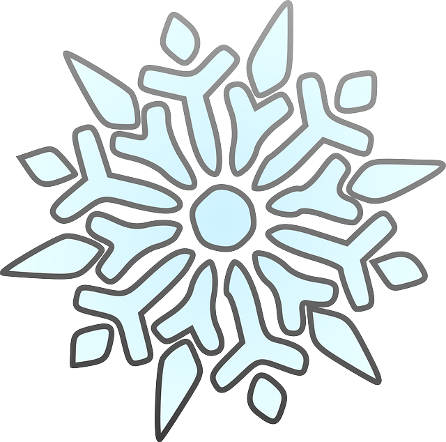 Free Pictures Snowflake - Snowflake Clipart (640x634), Png Download