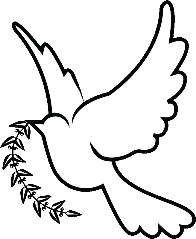 28 Collection Of Dove Drawing Png - White Dove Drawing Png (655x800), Png Download