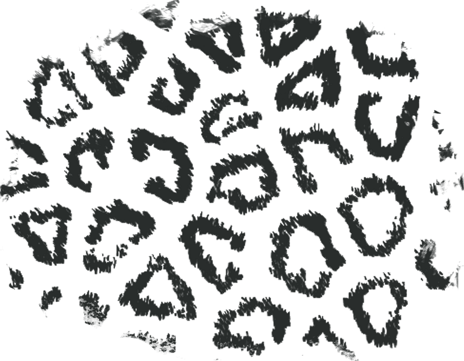 Doodle (1600x1245), Png Download