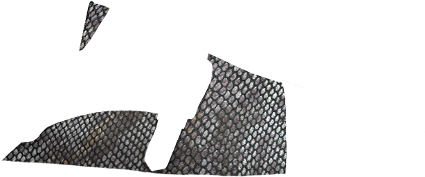 Fantasia-animal Print Taupe - Grille (860x400), Png Download