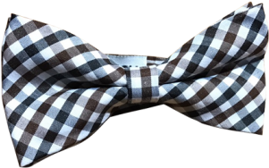Hautebutch Brown & Black Checkered Bow Tie - Necktie (324x434), Png Download