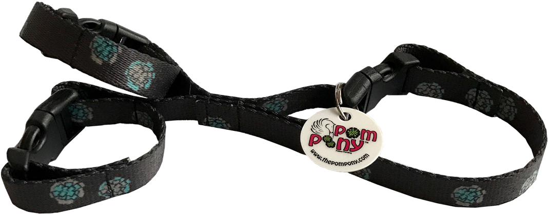 Pom-pom (1200x600), Png Download