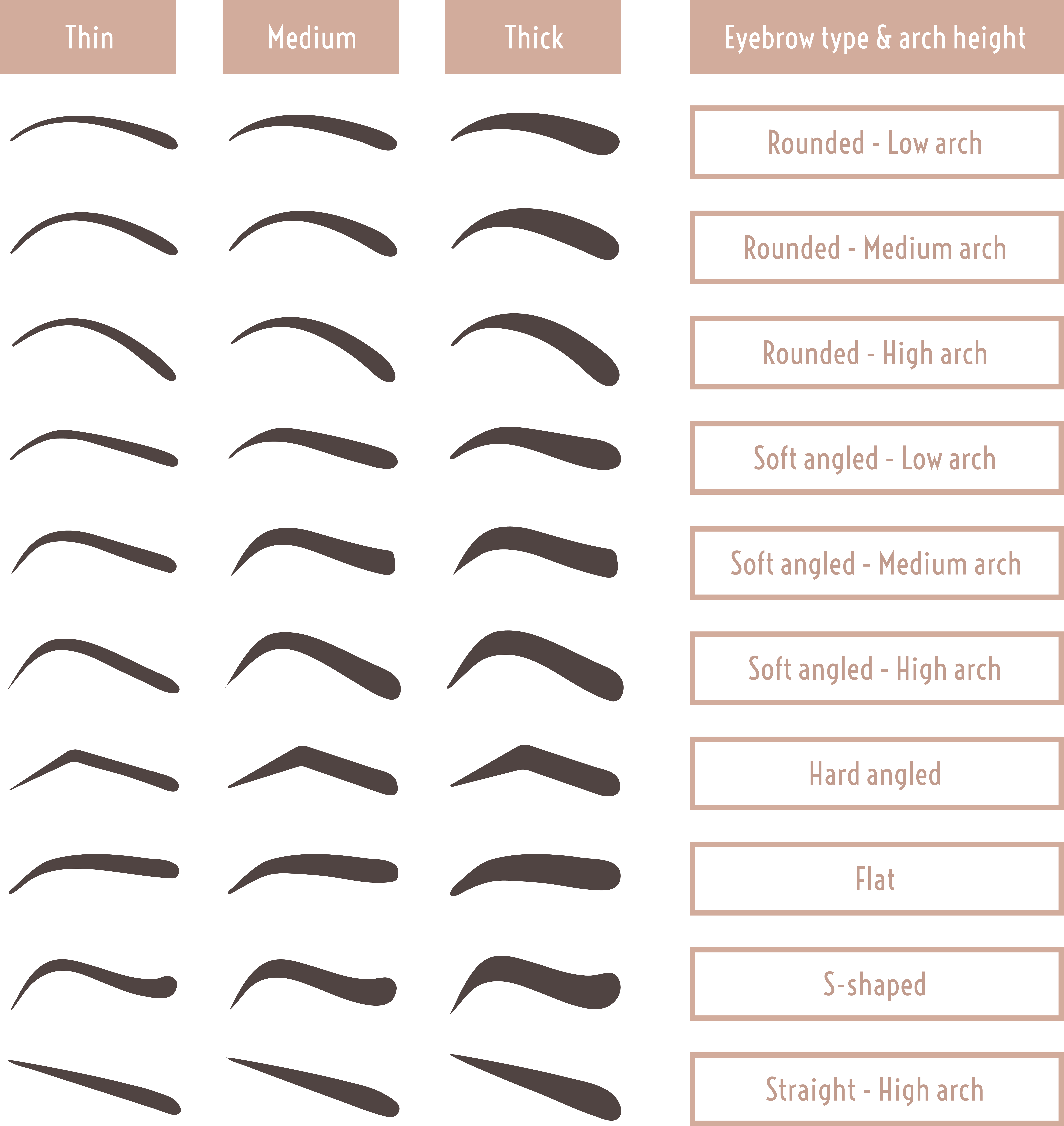 Ancient Egyptian Women Sported Arched Brows Darkened (8333x8333), Png Download