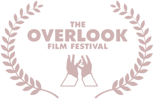 Download Copy - Crazy Cat Lady Yard Sign (500x387), Png Download