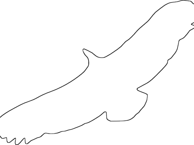 Line Art (640x480), Png Download