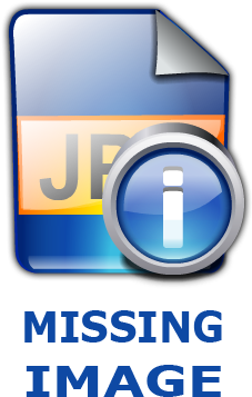 Freddyfruitcake Black Sabbath - Missing Person (300x441), Png Download