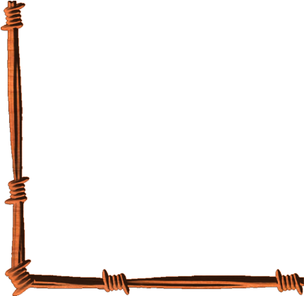 Barbed Wire (430x430), Png Download