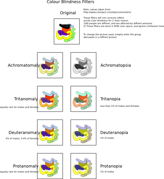 Stamps Png - Color Blindness (552x600), Png Download