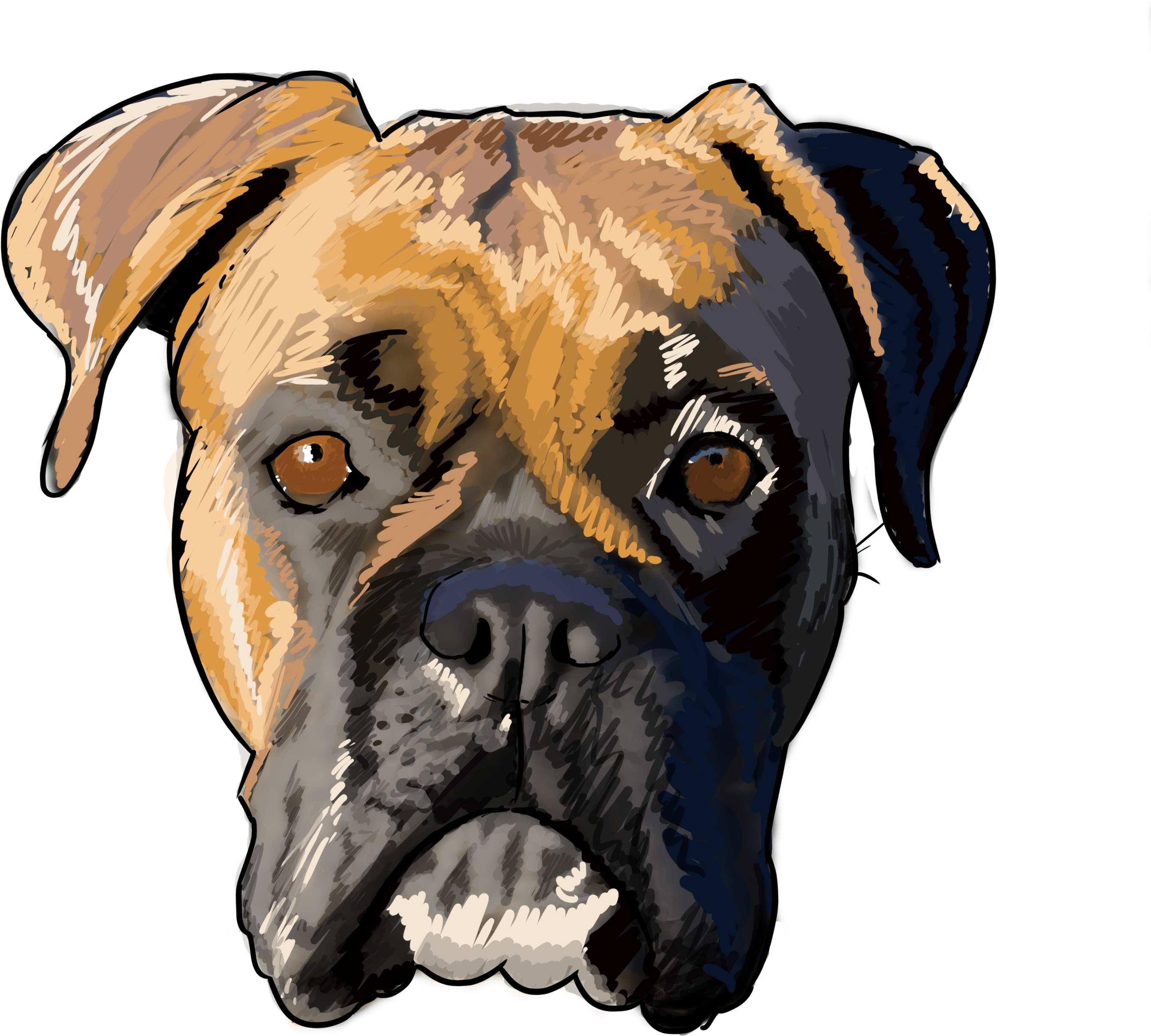 7 Why Are You A Boxer - Boxer (3000x3000), Png Download