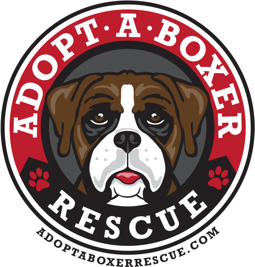 Adpot A Boxer Rescue - Boxer (1000x1025), Png Download