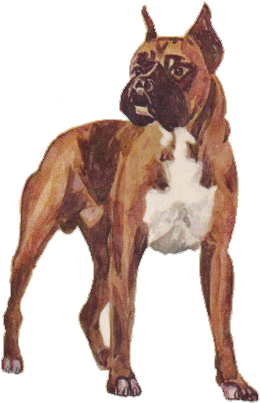 Vintage Clip Art Dogs Boxer - Boxer (296x453), Png Download