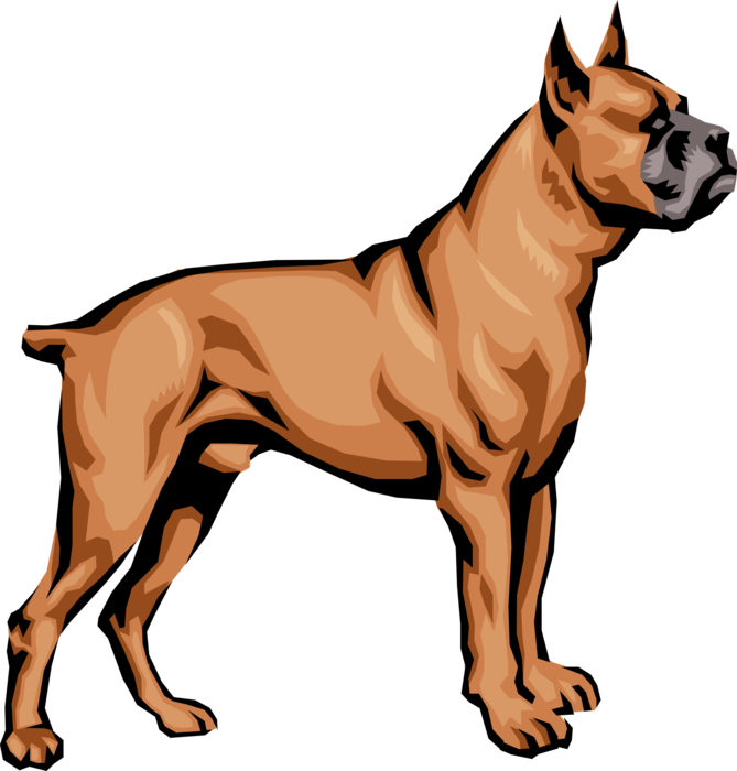 Vector Illustration Of Family Pet Brindle Boxer Dog - My Dog Has A Long Neck (669x700), Png Download