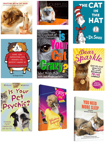 Cat In The Hat Book (436x537), Png Download