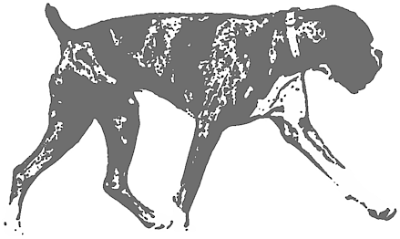 Click And Drag To Re-position The Image, If Desired - Boxer (600x417), Png Download