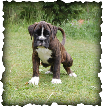 Picture - Matt Dallas Thinking Of You (358x373), Png Download