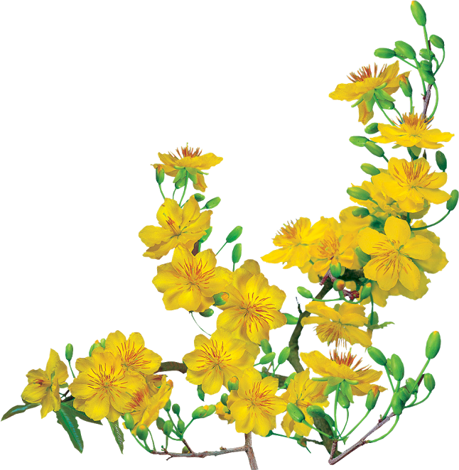 Xuan Giap Ngo 2014 (646x662), Png Download