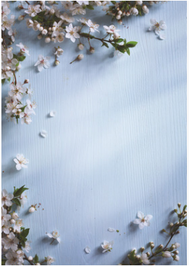 Spring Background Images Vertical (379x379), Png Download