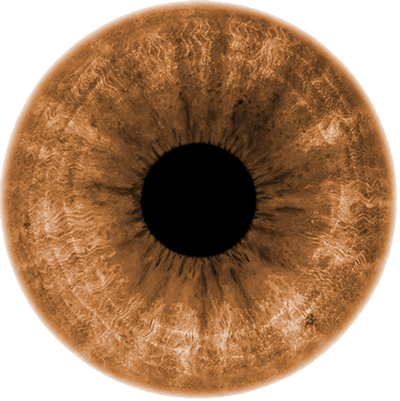 Download Light Brown Light Brown Eyes Transparent Png Image With No Background Pngkey Com
