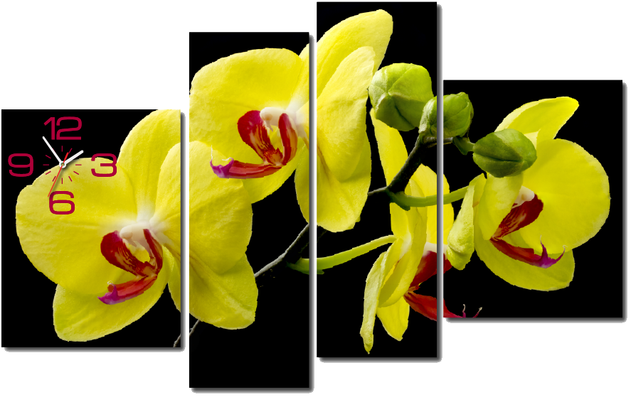 Tranh Đồng Hồ Treo Tường Hoa Mai Vàng - Tranh Hoa Mai Ghep (887x559), Png Download