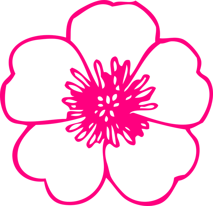 Tranh Hoa Lá Nghệ Thuật - Flower Clipart Black And White Outline (742x720), Png Download