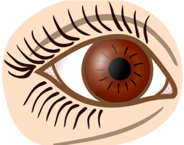Auge Clipart Schwarz Weiß (640x480), Png Download