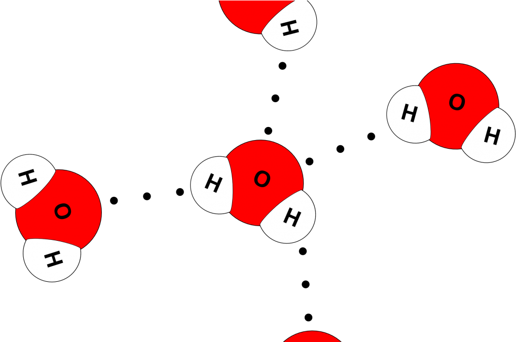 Water Molecule 4 Hydrogen Bonds (1080x675), Png Download