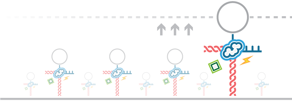 Afs Dna Transcription Small Molecules - Force Spectroscopy (1216x384), Png Download