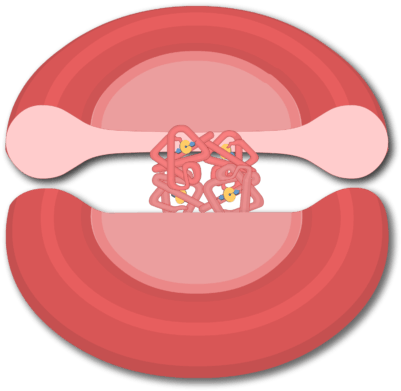 Svg Library Stock Blood Cell Clipart - Red Blood Cell (666x550), Png Download