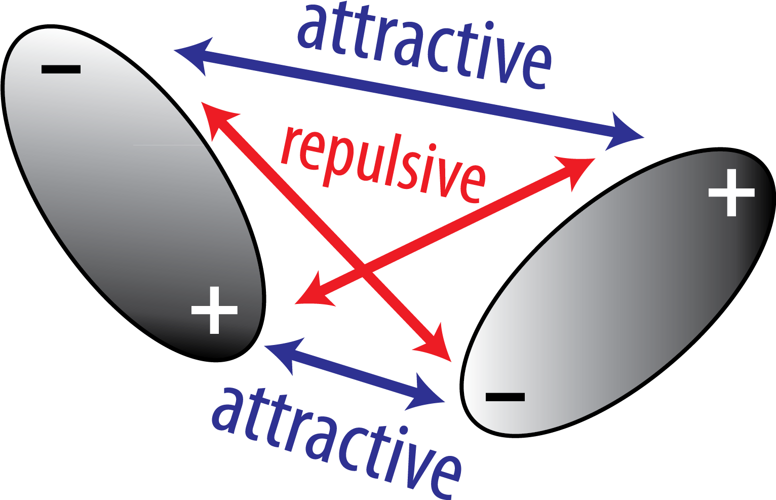 Schematic Of The Electrostatic Interaction Between - Electrostatic ...