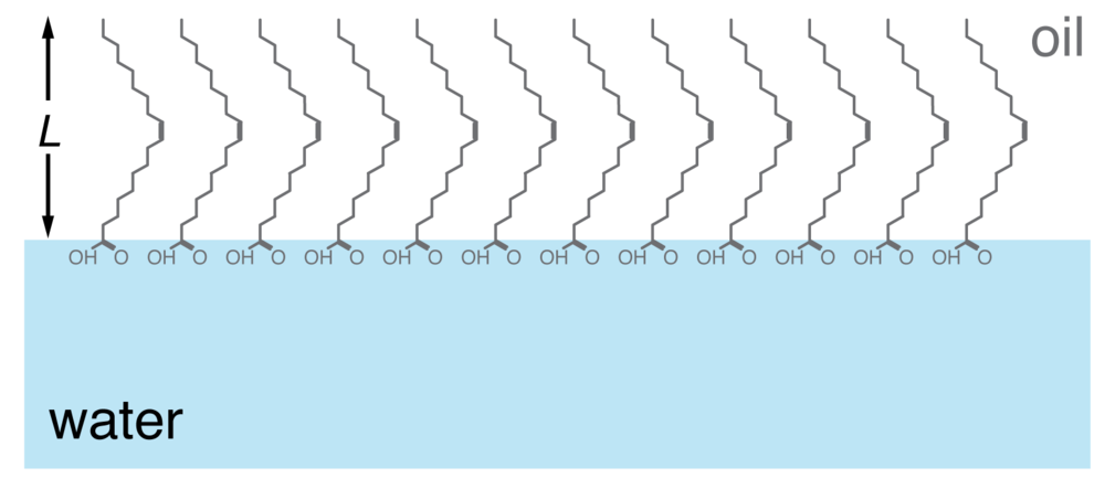 Fig Molecule Film - Film (1000x443), Png Download