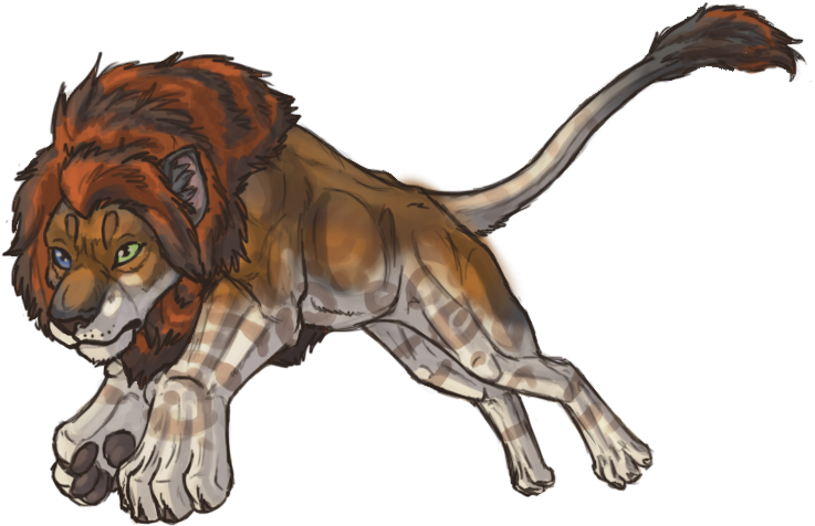 The Gallery For - Lion (1000x600), Png Download