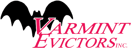 Varmint Evictors - Wildlife (570x255), Png Download